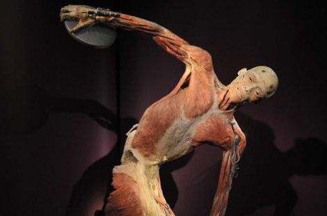 Вставка «The Human Body» теперь и в Киеве