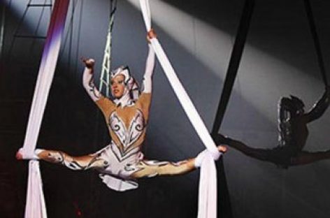 Известная гимнастка сломала шею на арене столичного цирка