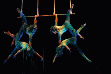 В Лас-Вегасе во время выступления разбилась насмерть артистка Cirque du Soleil