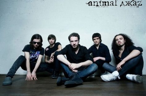 Animal Jazz в срыве концертов обвинили мошенников