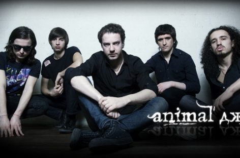 Альбом «Animal ДжаZ»  «Хранитель весны» выйдет весной 2015-го