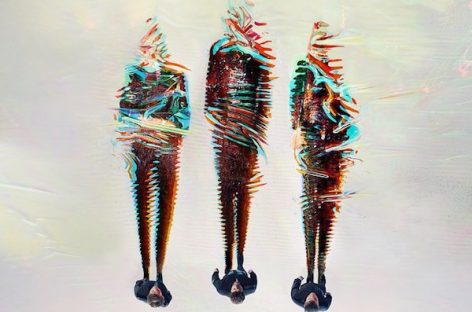 Группа Take That снова возглавила альбомный чарт Великобритании
