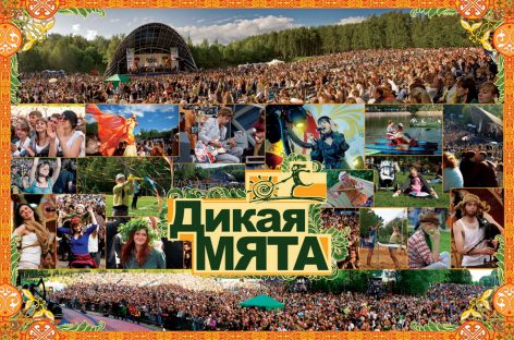 «Дикая Мята» переехала в Тульскую область