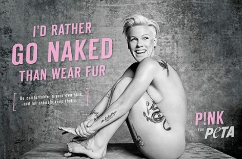 Пинк снялась обнаженной в рамках акции зоозащитной PETA