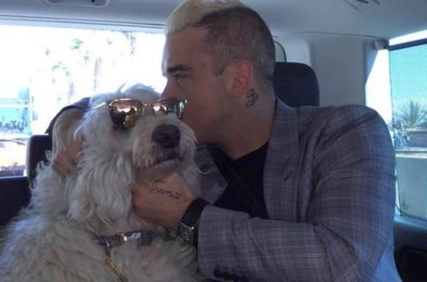 Робби Уильямс приедет в Россию с любимым псом