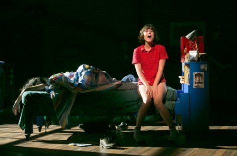 «Забавный дом» стал лучшим бродвейским мюзиклом 2015 года