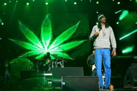 Снуп Догг основал компанию по производству марихуаны