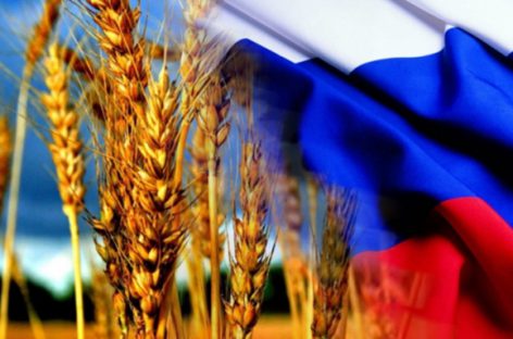 Российская пшеница снова поедет в Китай