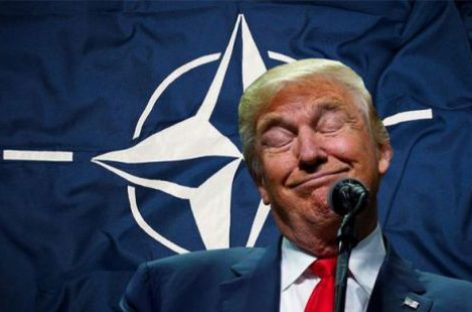 В США предложили обезопасить НАТО от Трампа