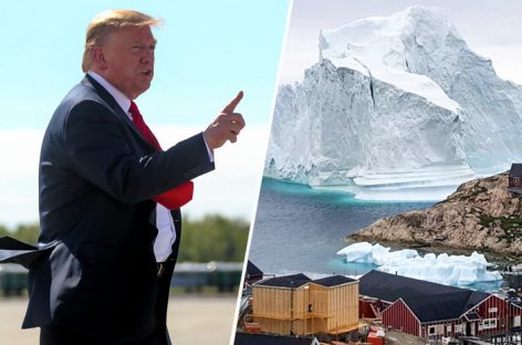 Найден тот, кто предложил Трампу купить Гренландию