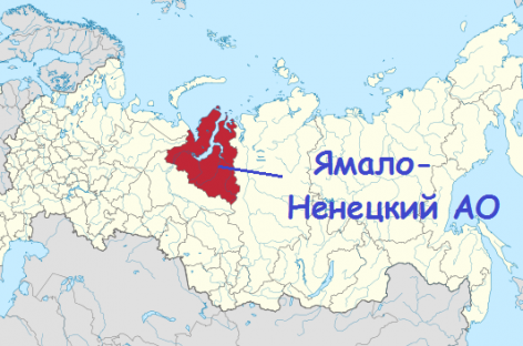 В Росстате положительно отметили Ямало-Ненецкий автономный округ