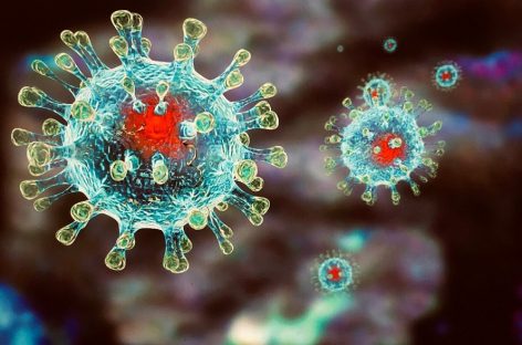 Данные по заболеваемости коронавирусом в мире на утро, 20 ноября