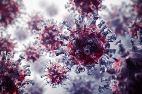 Новый штамм коронавируса: отчет ВОЗ