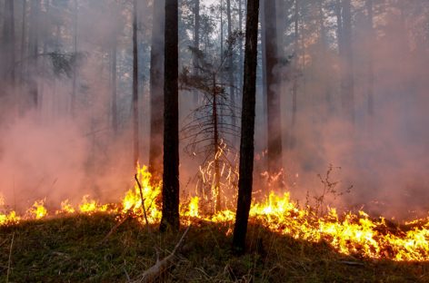 В Якутии борются с пожарами