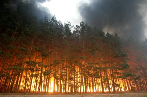В России разработали систему выявления природных пожаров